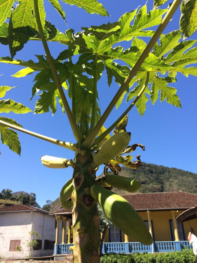 ホテルCasa Verde Em Petropolis エクステリア 写真